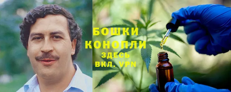 Конопля Bruce Banner  Качканар 